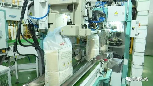 射陽大米首獲省政府農(nóng)業(yè)技術(shù)推廣獎(jiǎng)，技術(shù)創(chuàng)新引領(lǐng)產(chǎn)業(yè)升級