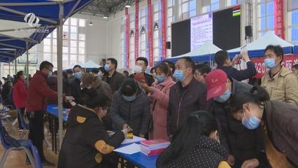 株洲市“就業創業地圖”上線，精準導航職業中介服務新體驗