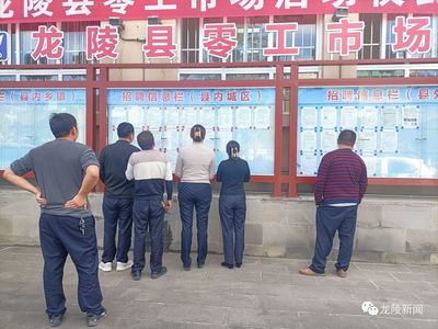 龍陵 多維度促進就業創業，高質量托穩民生幸福——職業中介服務的核心角色與創新實踐